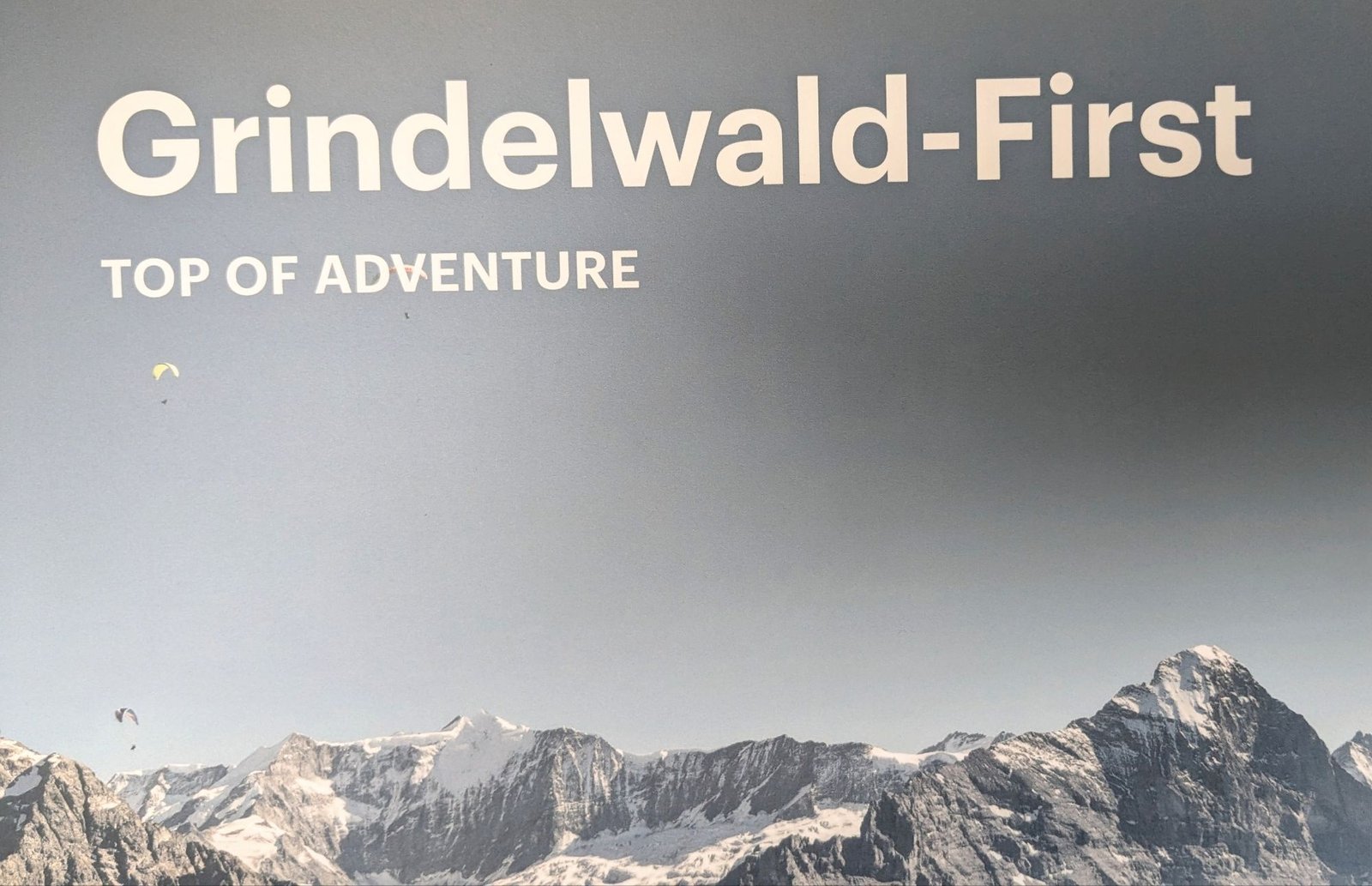 Grindelwald FIRST !